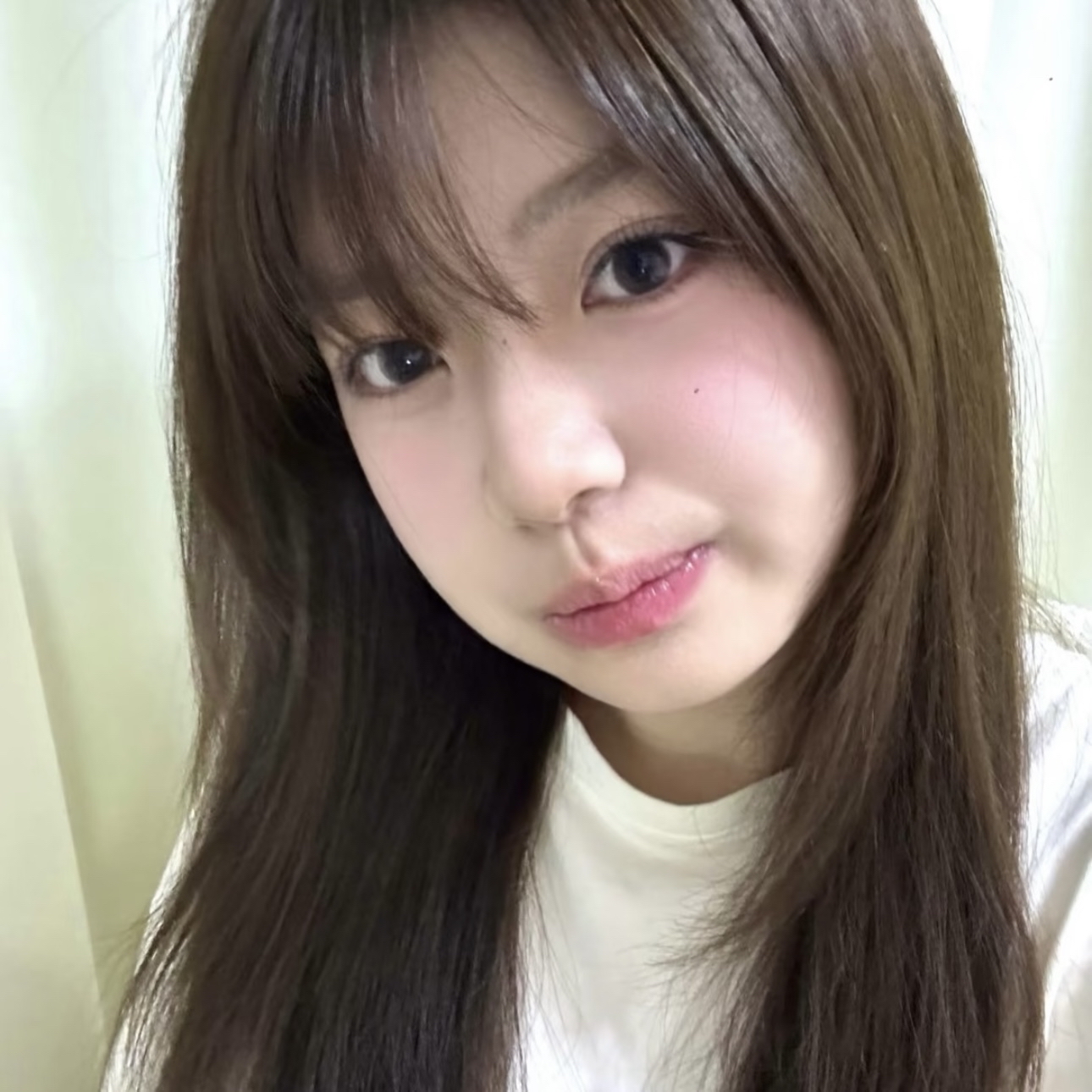 Muzze || Art & History Museum